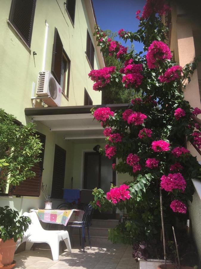 Greenhouse Family Apartments Rabac Dış mekan fotoğraf